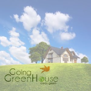 Going Green House